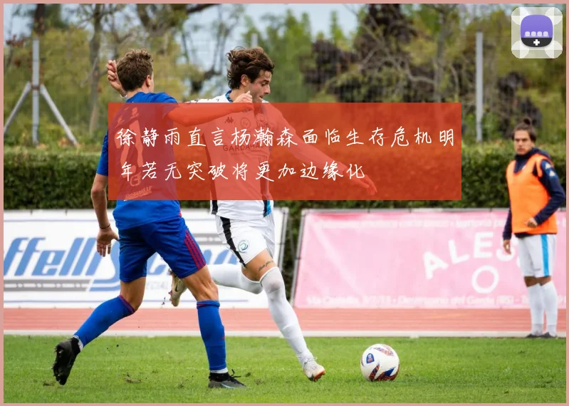 徐静雨直言杨瀚森面临生存危机明年若无突破将更加边缘化