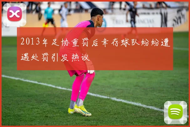 2013年足协重罚后幸存球队纷纷遭遇处罚引发热议