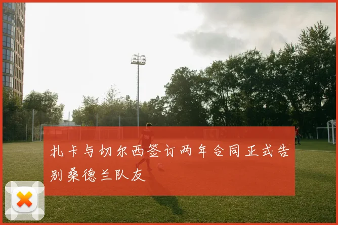 扎卡与切尔西签订两年合同正式告别桑德兰队友