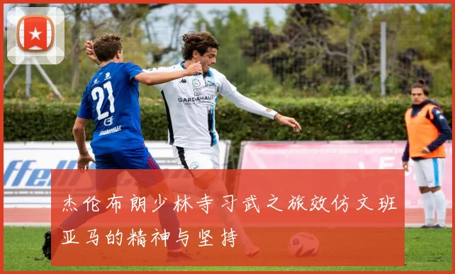 杰伦布朗少林寺习武之旅效仿文班亚马的精神与坚持