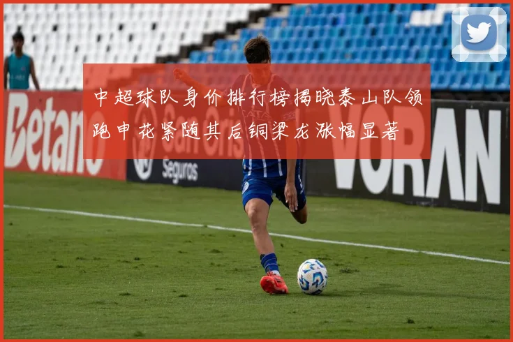 中超球队身价排行榜揭晓泰山队领跑申花紧随其后铜梁龙涨幅显著